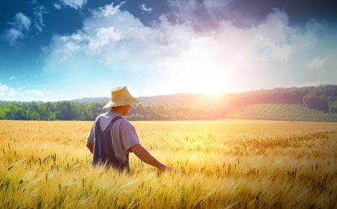 農業工程師的崗位職責是什么？-十大獵頭公司【高邦獵頭】